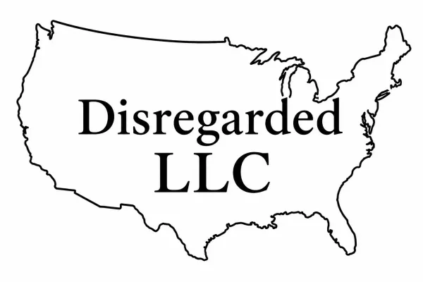 What is a US Disregarded Entity? A Guide for Foreign Founders of a US LLC